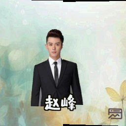 赵峰